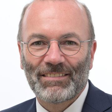 Manfred WEBER