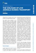 Thumbnail of pdf attachment